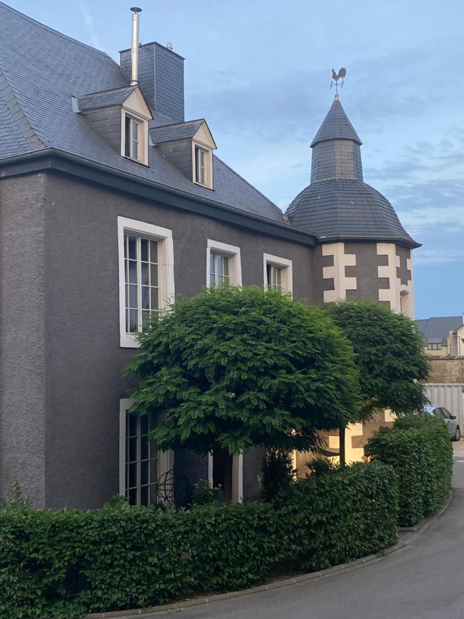 Chateau De Clemency Exterior photo